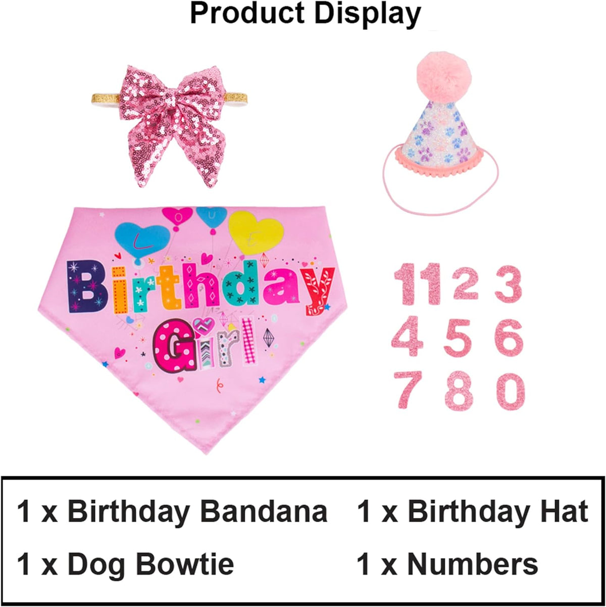 The Birthday Girl Kit That Makes the Whole Party About the Dog - dog product photo (view 9)
