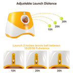 Automatic Dog Ball Launcher - dog product photo (view 2)