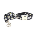 Engraved Dog Collar and Leash - dog product photo