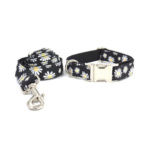 Engraved Dog Collar and Leash