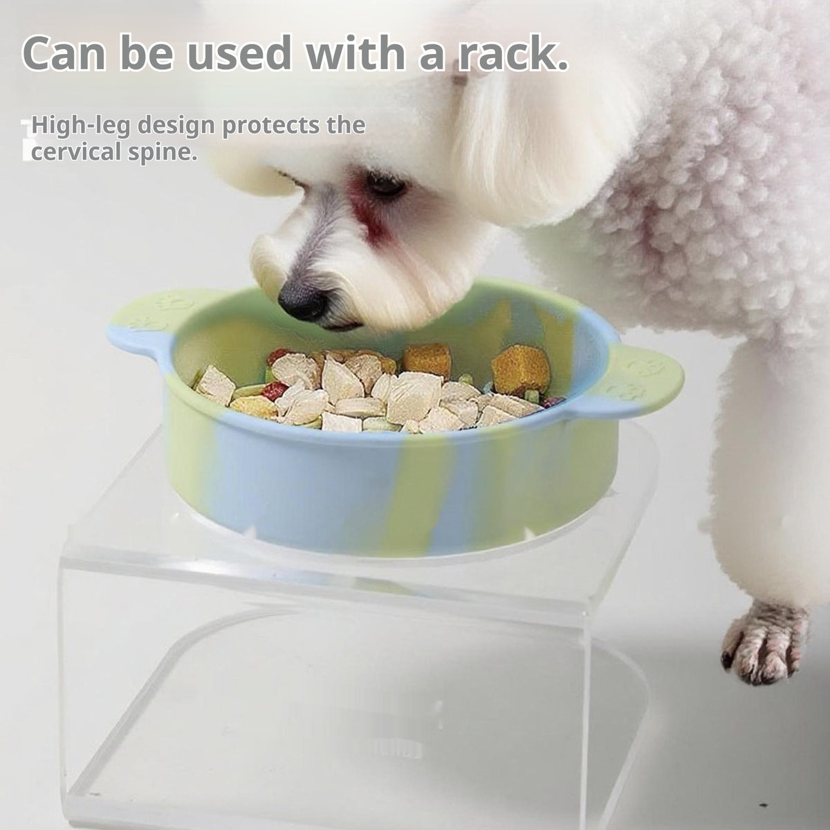 Pet Slow-feeding Silicone Bowl - pet product photo (view 3)