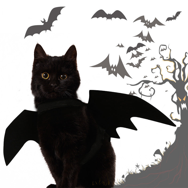 Pet Bat Wings Halloween Costume for Cats & Small Dogs (view 2)