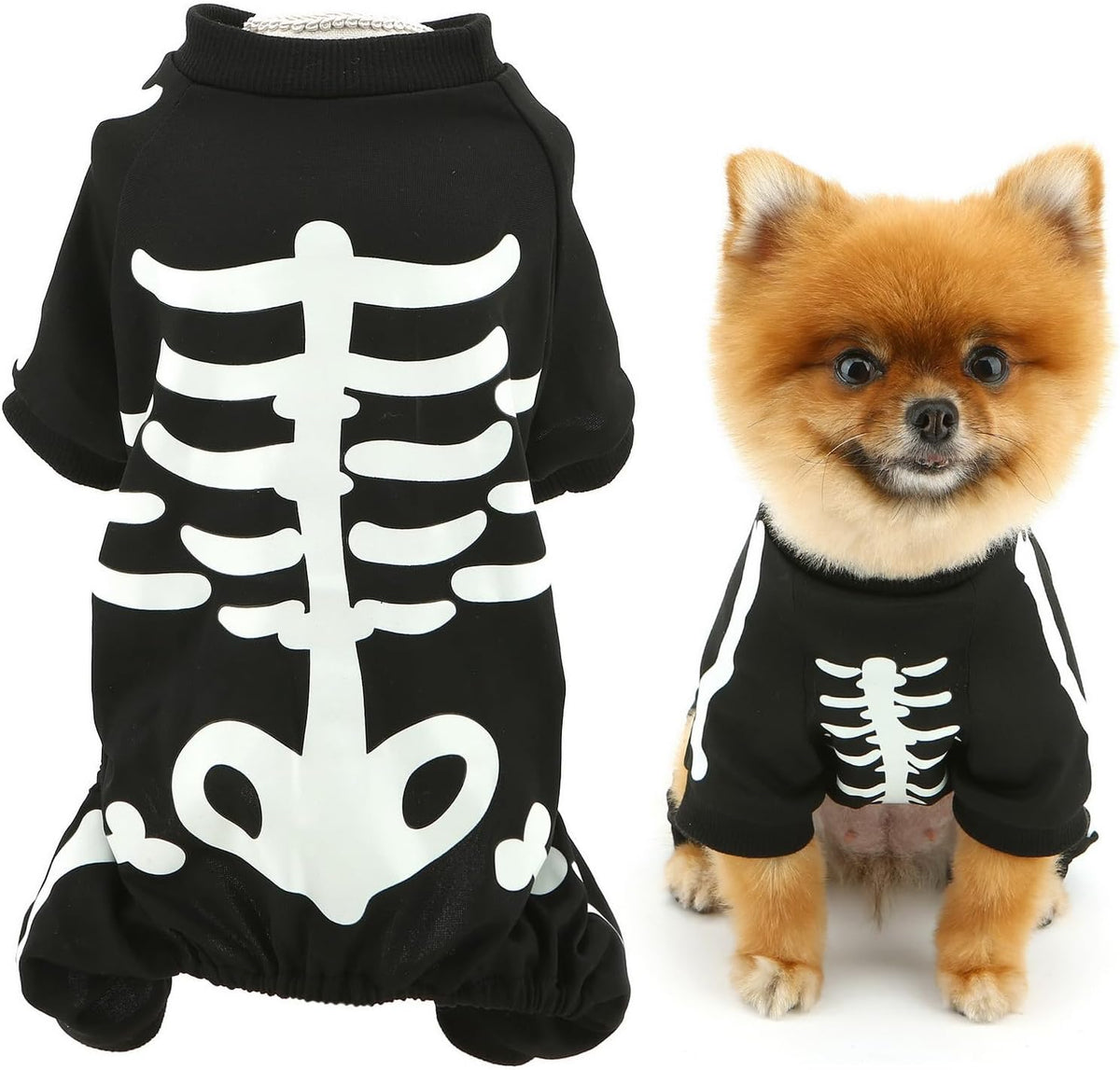 Glow-in-the-Dark Skeleton Costume for Small Dogs