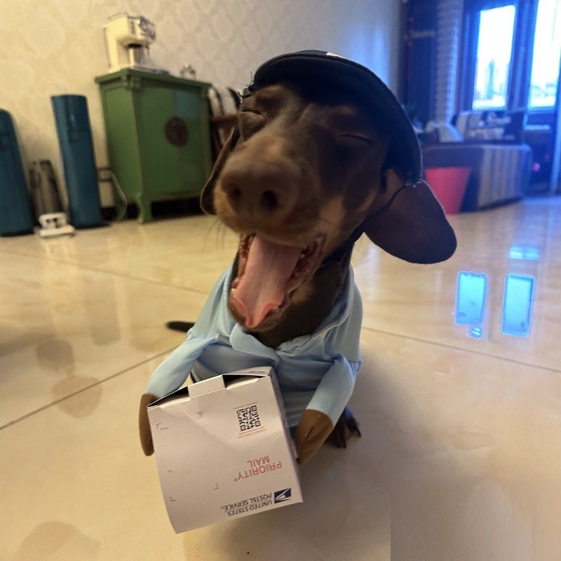 Halloween Express Costume for Small Dogs (view 5)