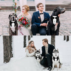 The Tuxedo Your Dog Can Wear Without Trying on a Single Sleeve - dog product photo (view 5)
