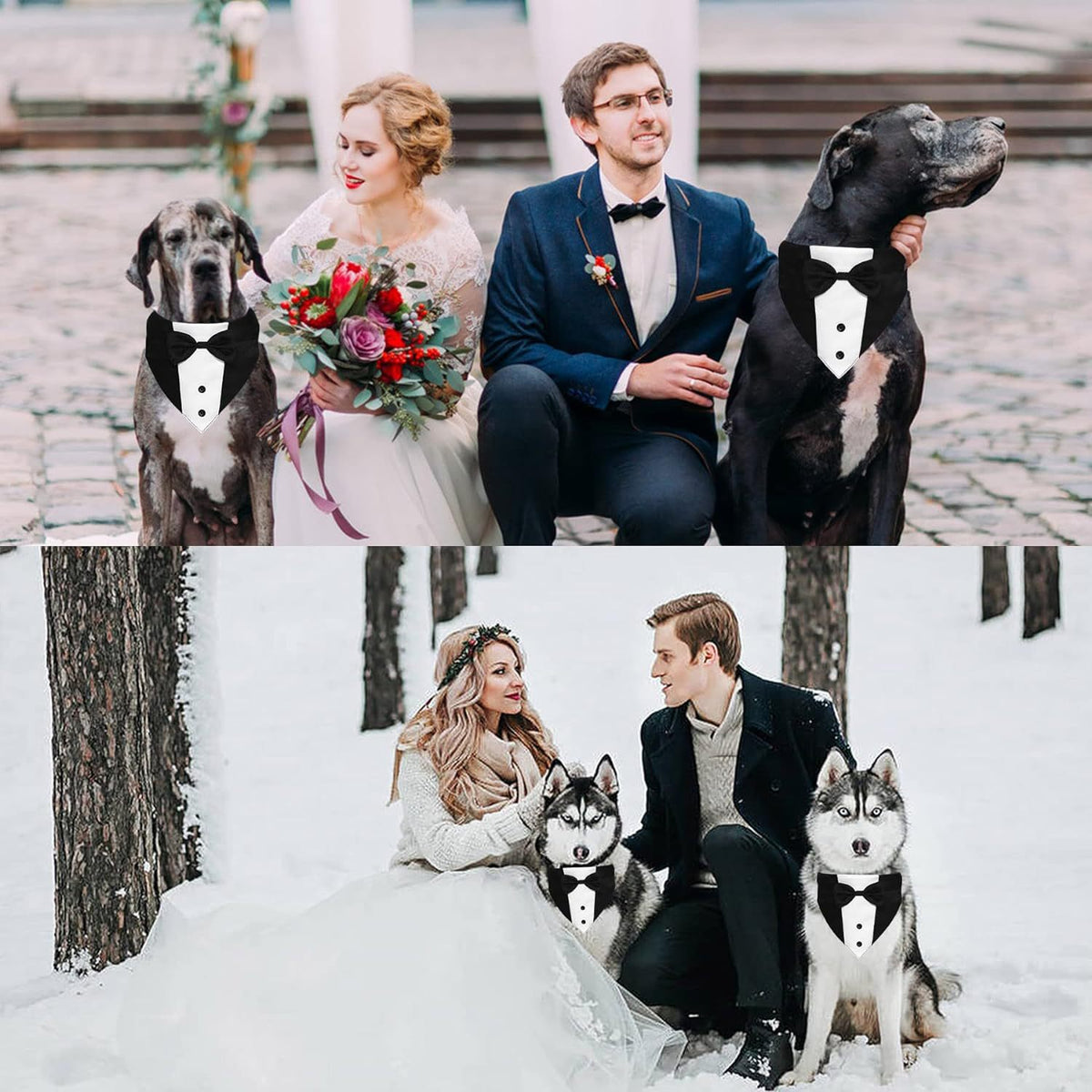 The Tuxedo Your Dog Can Wear Without Trying on a Single Sleeve - dog product photo (view 5)