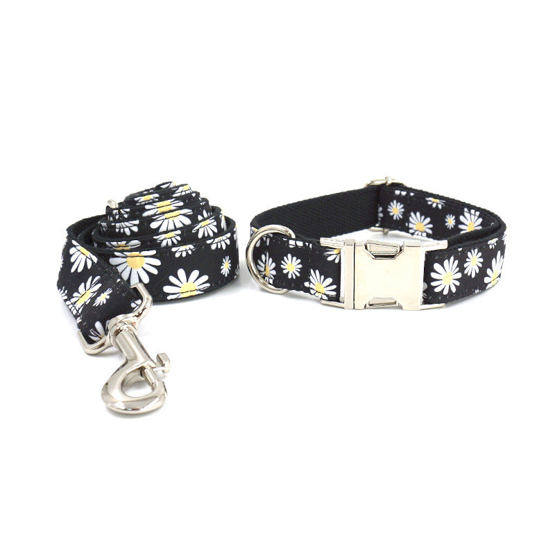 Engraved Dog Collar and Leash - dog product photo (view 2)