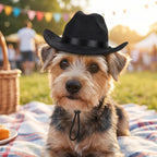 Small Cowboy Hat for Dogs