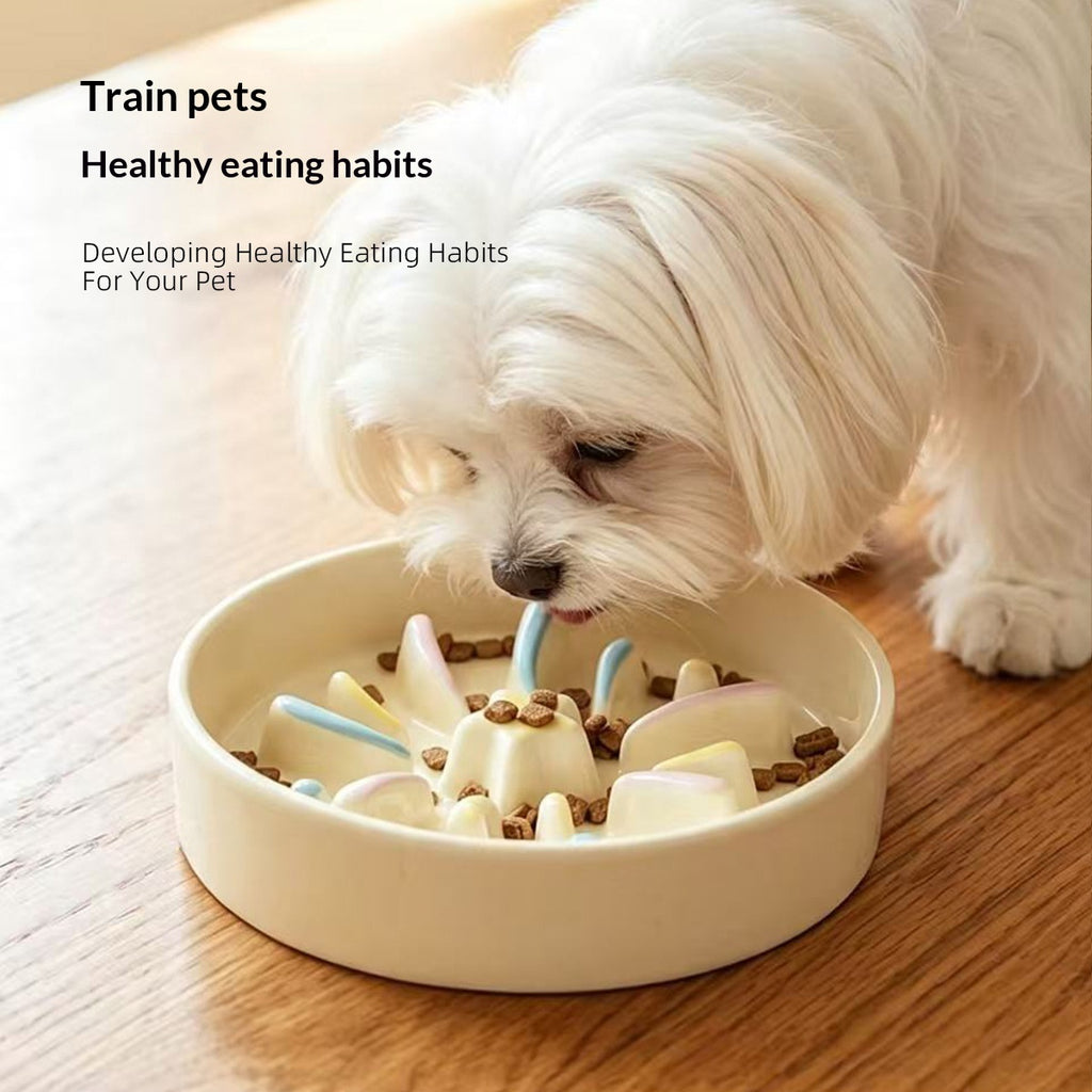 Floral Ceramic Cat and Dog Bowl Slow-feeding Anti-choking - dog and cat product photo