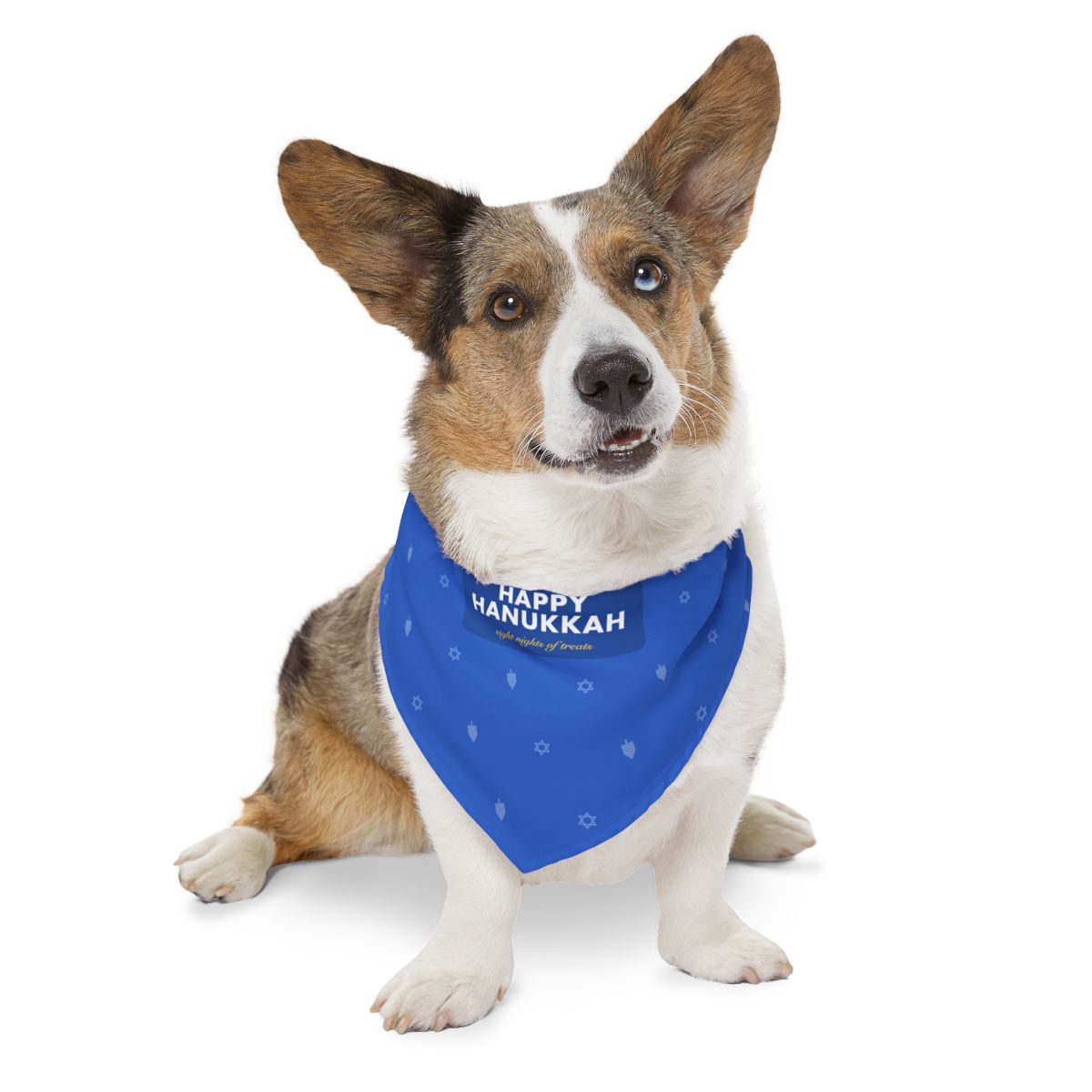 Happy Hanukkah Bandana Collar - dog product photo (view 2)