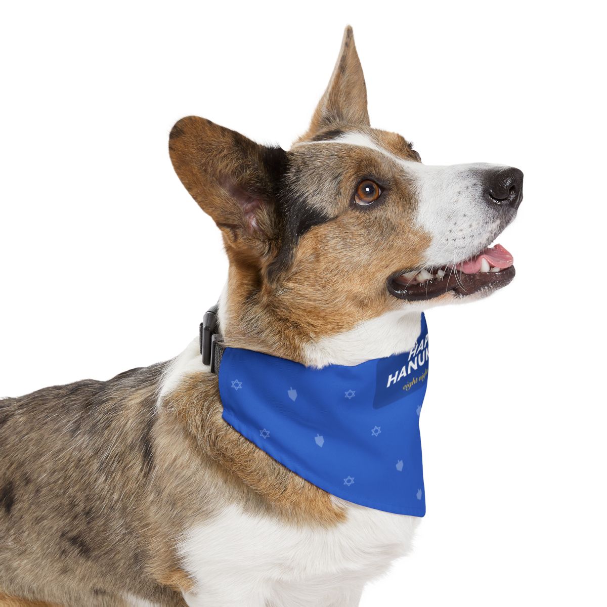 Happy Hanukkah Bandana Collar - dog product photo (view 3)
