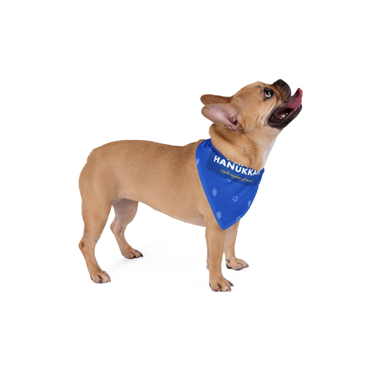 Happy Hanukkah Pet Bandana - dog and cat product photo (view 4)