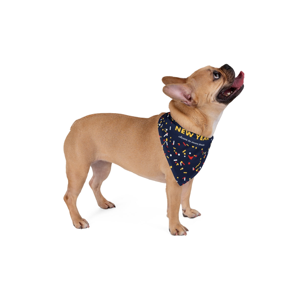 Happy New Year Pet Bandana - dog and cat product photo (view 4)