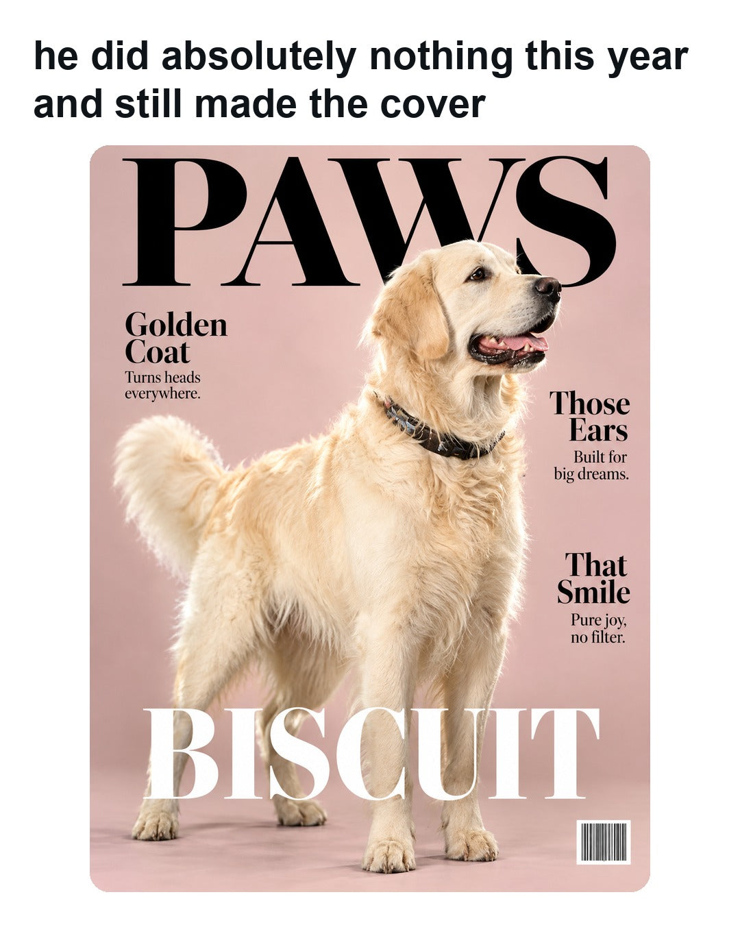 A dog portrait styled as a magazine cover