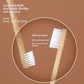 Double-Headed Pet Toothbrush