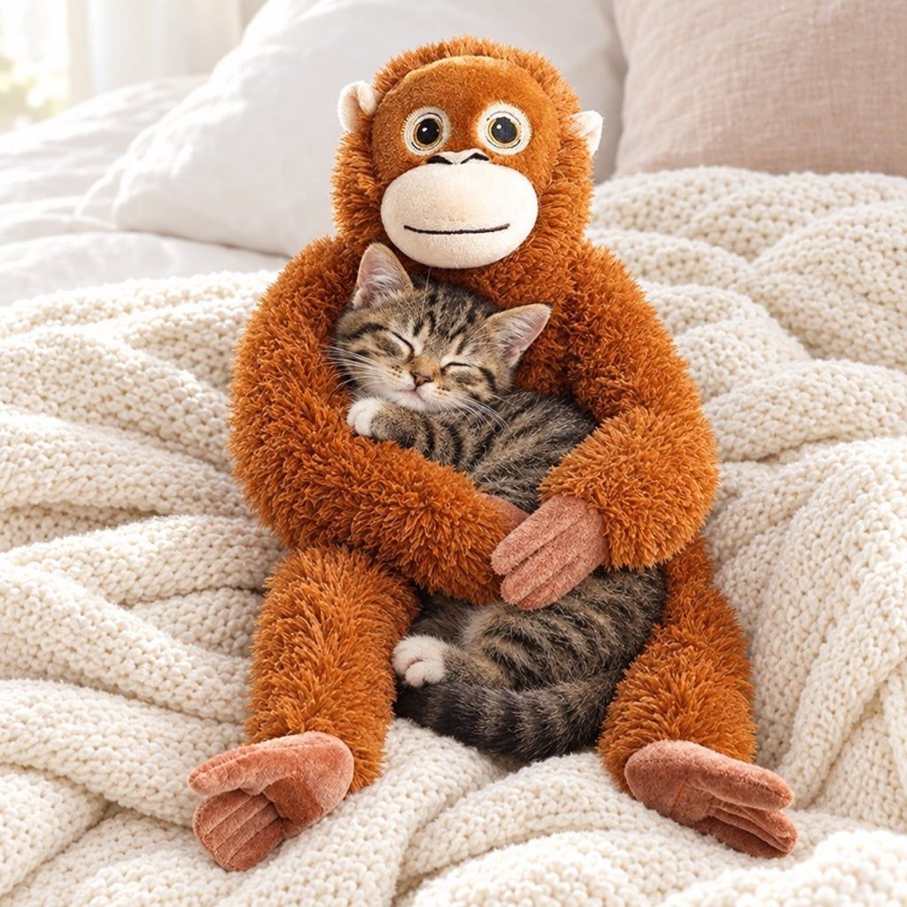 Kitten asleep in the arms of the Punch Monkey orangutan plush
