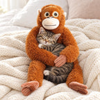 Kitten asleep in the arms of the Punch Monkey orangutan plush
