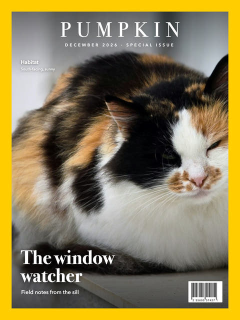 Nature cover made from the photo of a calico cat on a windowsill