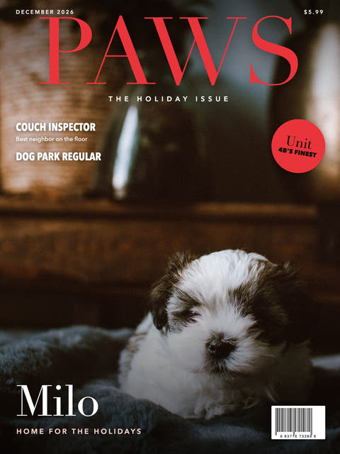Magazine cover made from the photo of a Shih Tzu puppy on a blanket