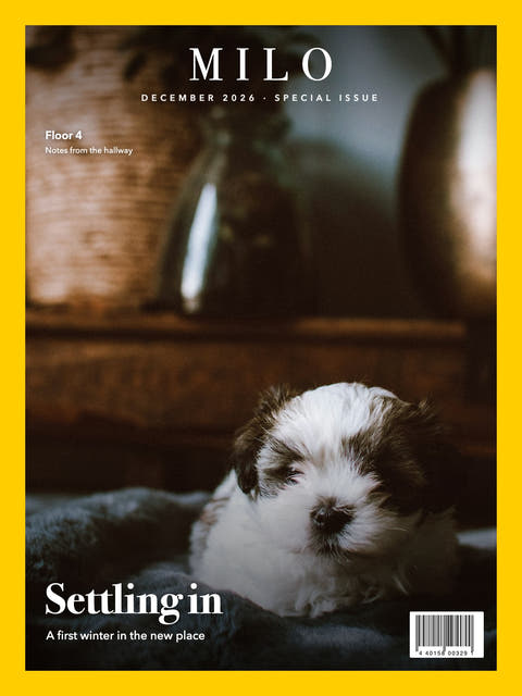 Nature cover made from the photo of a Shih Tzu puppy on a blanket