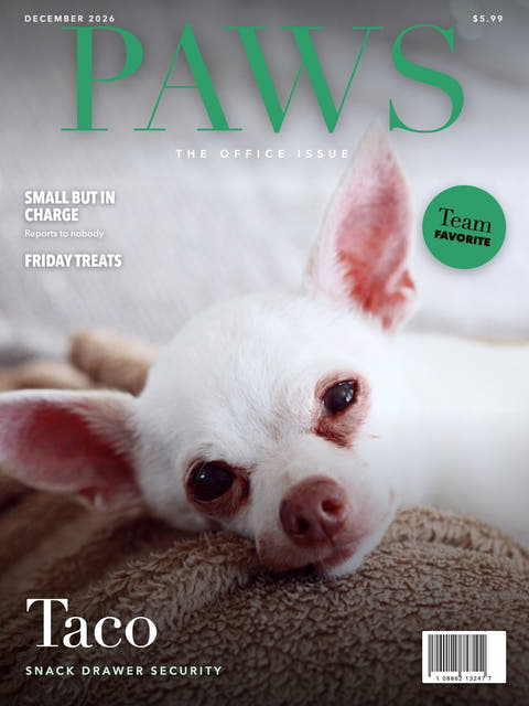 Magazine cover made from the photo of a white Chihuahua resting on a blanket