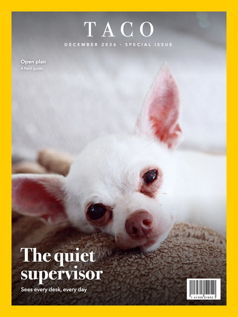 Nature cover made from the photo of a white Chihuahua resting on a blanket