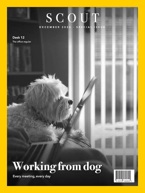 Nature cover made from the photo of a small dog next to a laptop at a desk